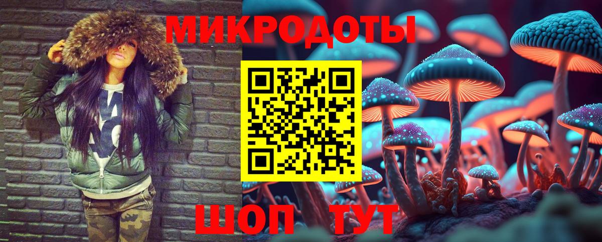 дарнет шоп  Псилоцибиновые грибы MAGIC MUSHROOMS  Вход с VPN  Новочебоксарск 