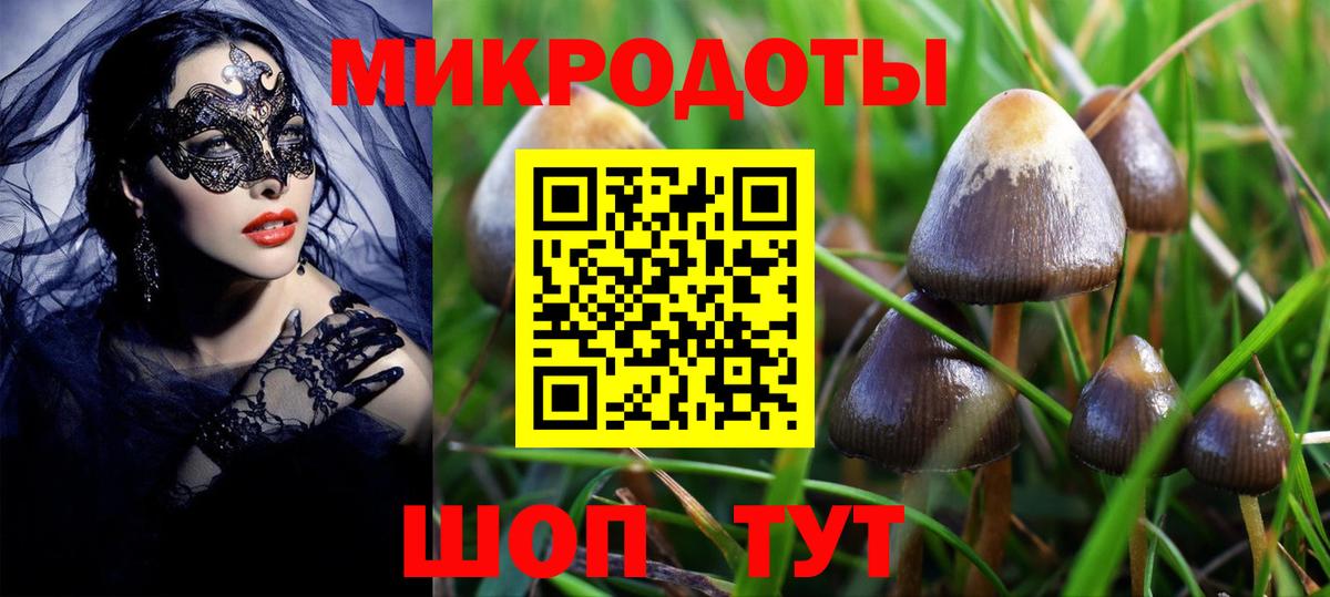 Псилоцибиновые грибы мухоморы Новочебоксарск