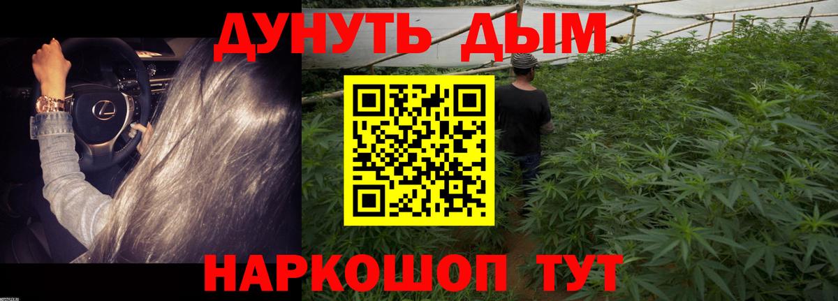 Шишки марихуана White Widow  Канабис планчик  Конопля VHQ  Вход с VPN  Новочебоксарск 